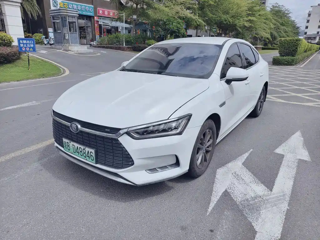 BYD Qin Pro NEV 2020 — фото 1