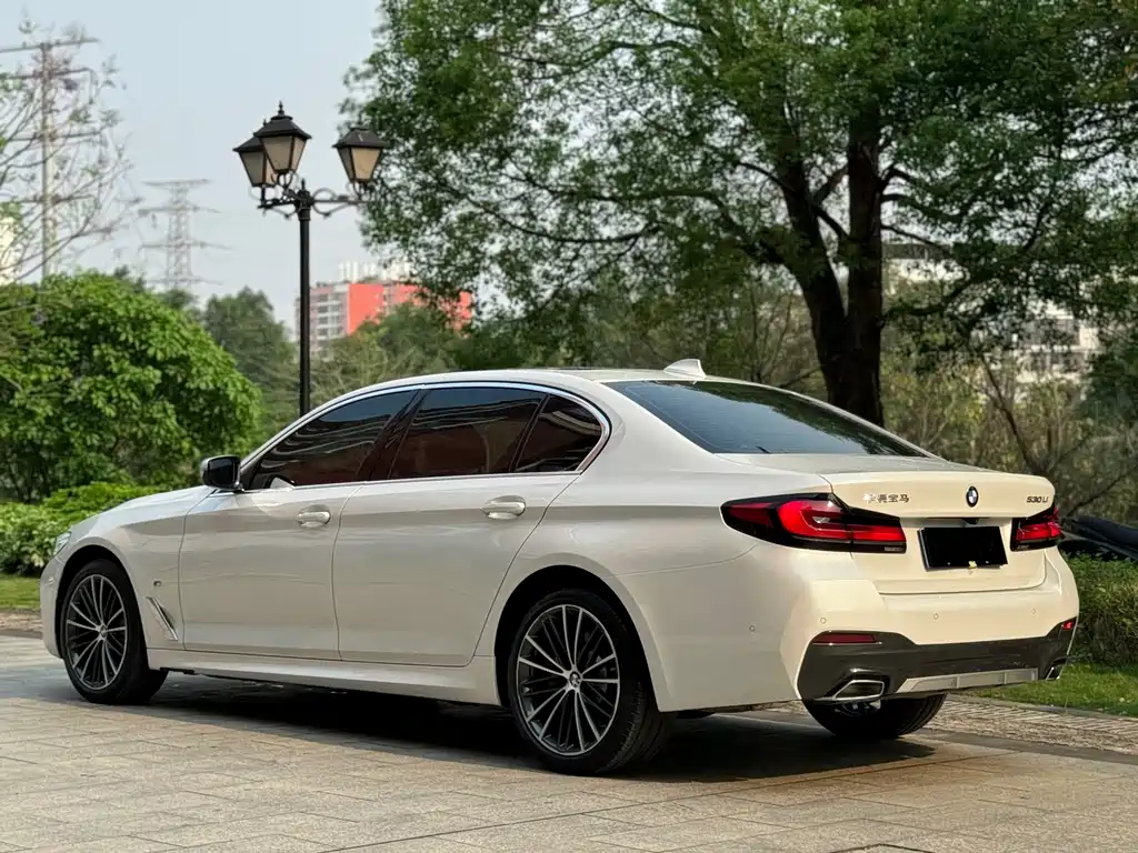 BMW 5 Series 2020 — фото 10