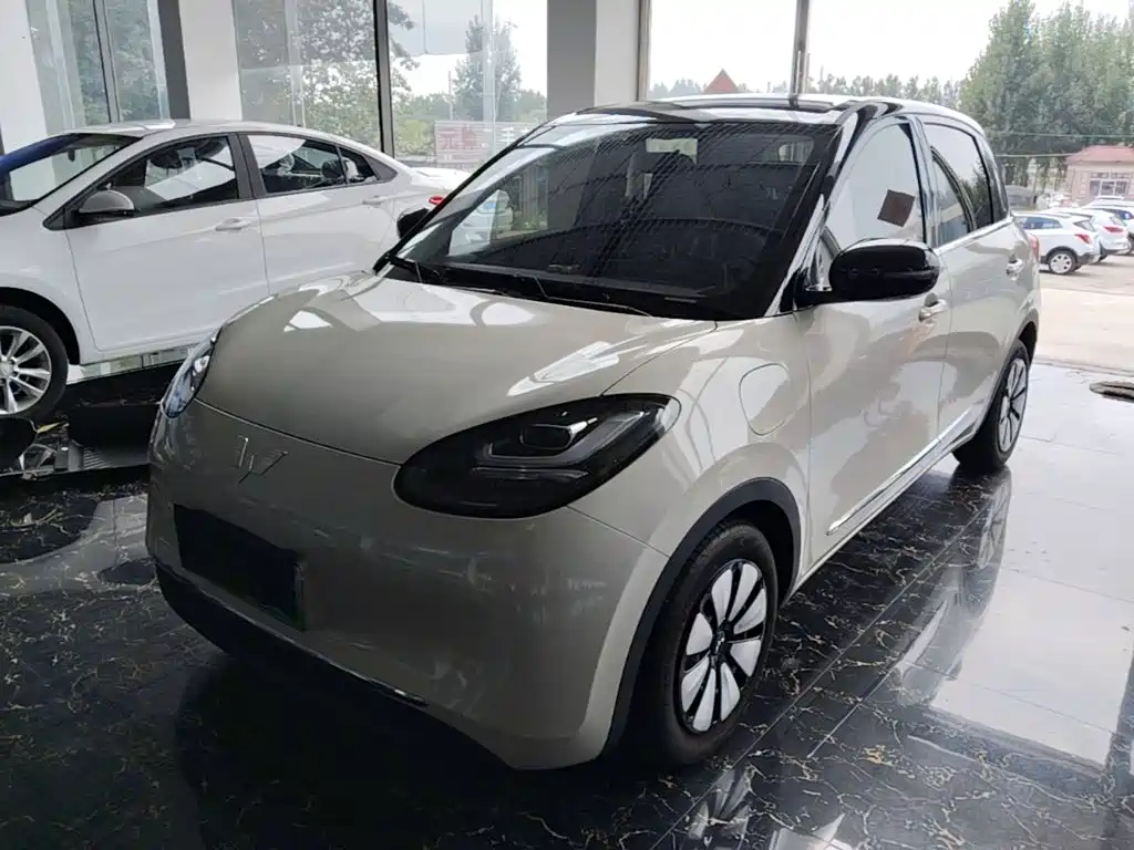 Wuling Bingo 2024