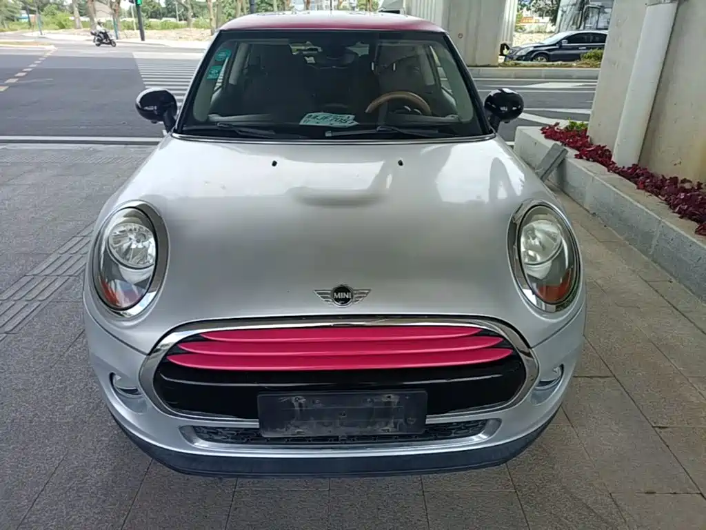 MINI MINI 2014