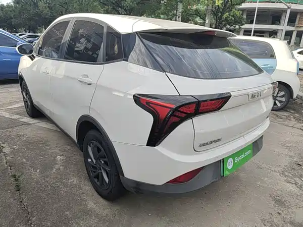 Neta V 2020