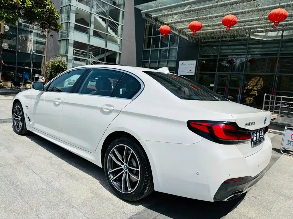 BMW 5 Series New Energy 2021
