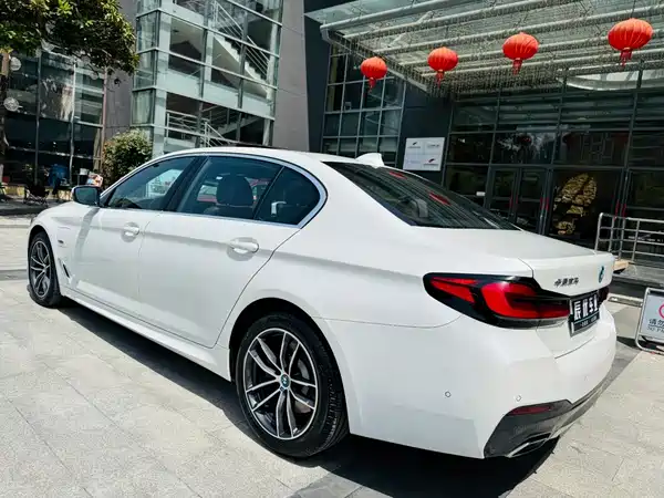 BMW 5 Series New Energy 2021
