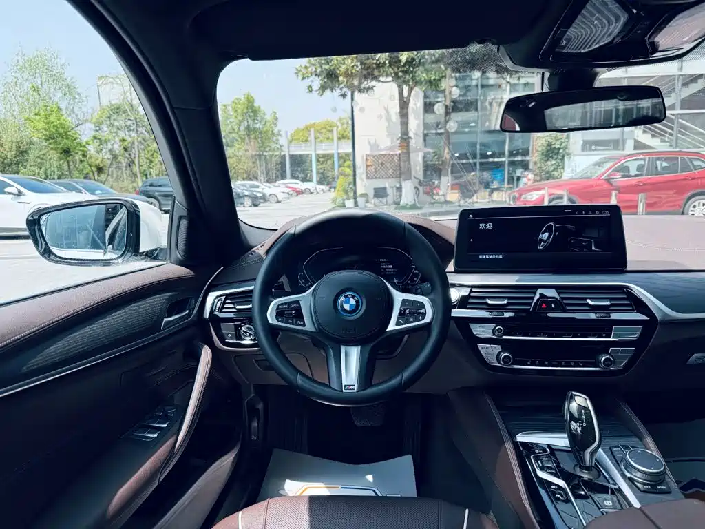 BMW 5 Series New Energy 2021 — фото 13