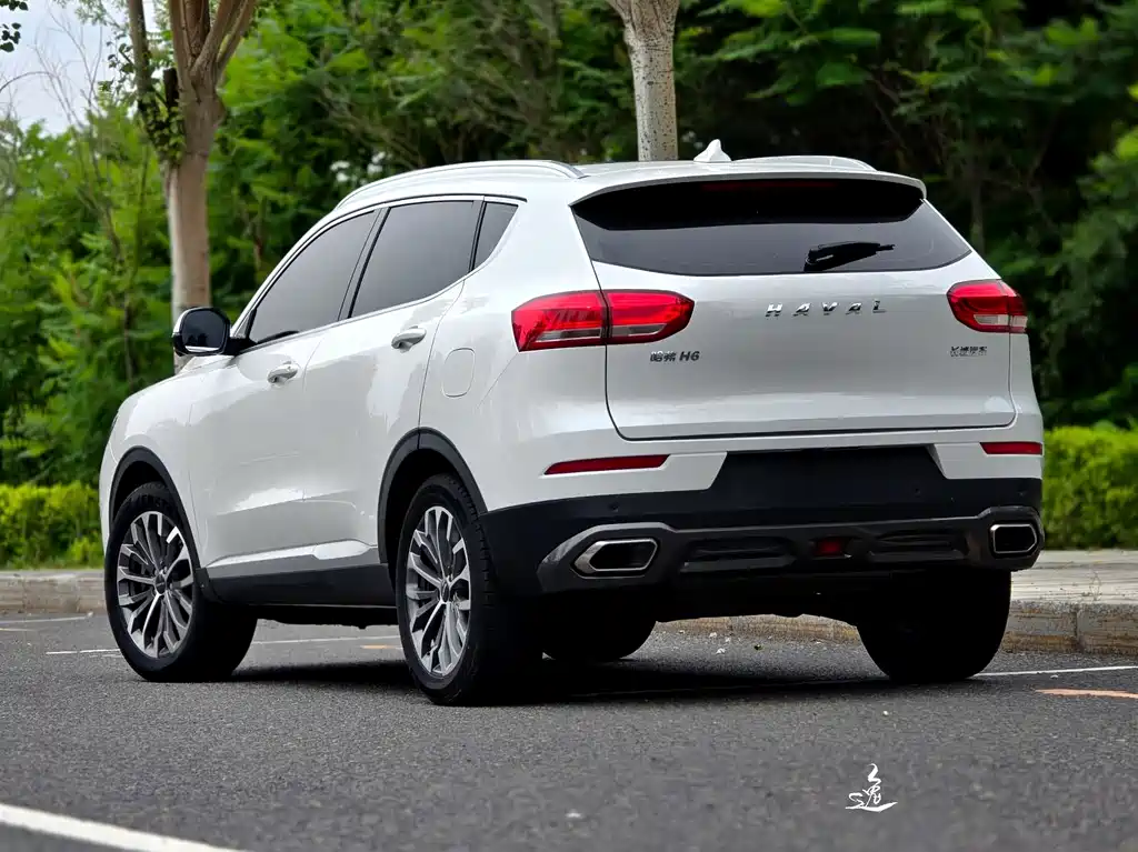 Haval H6 2020 — фото 4