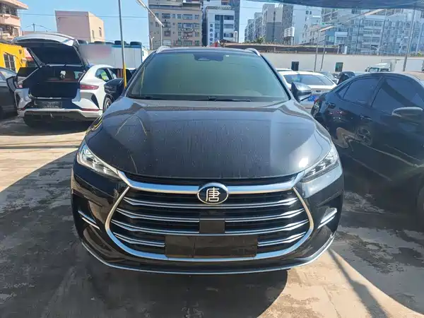 BYD Tang New Energy 2021