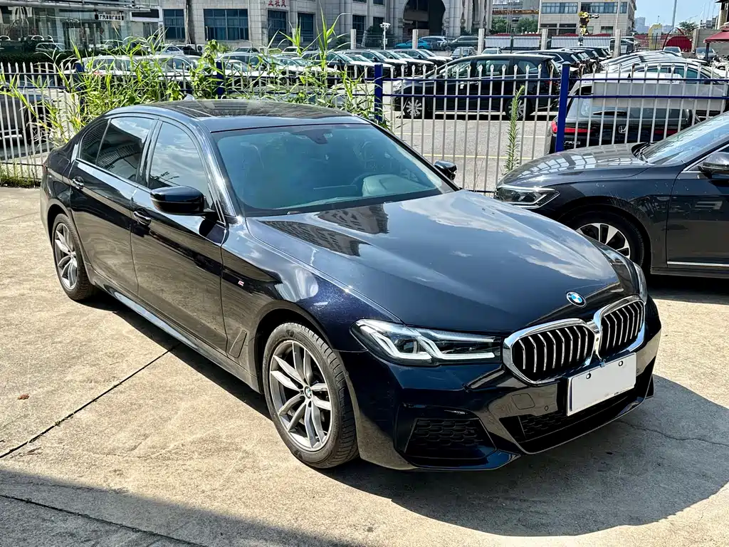 BMW 5 Series 2019