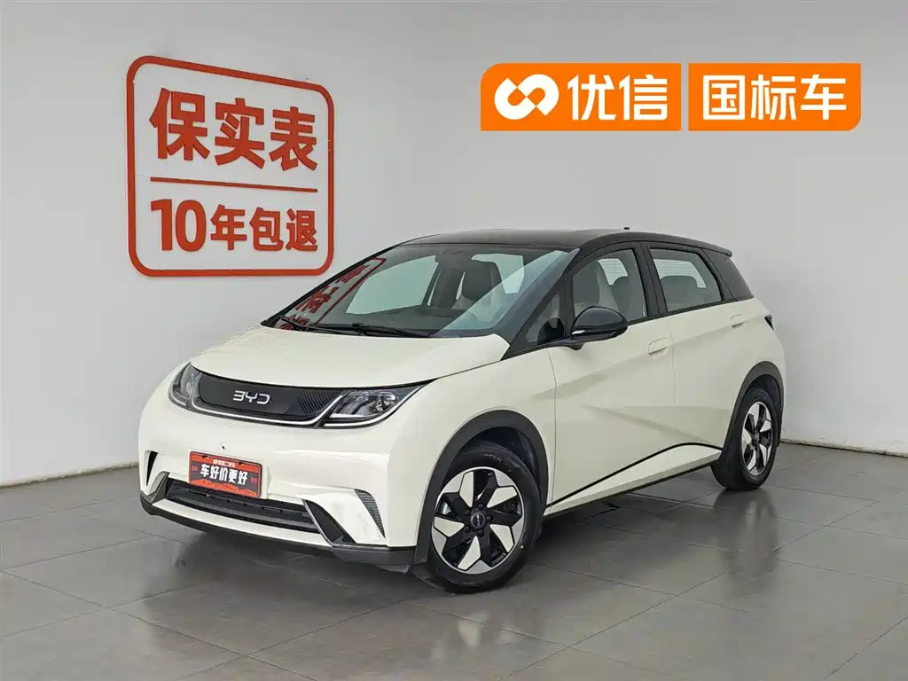 BYD Dolphin 2025