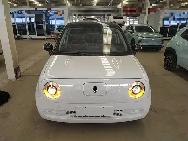 Ora Black Cat 2021