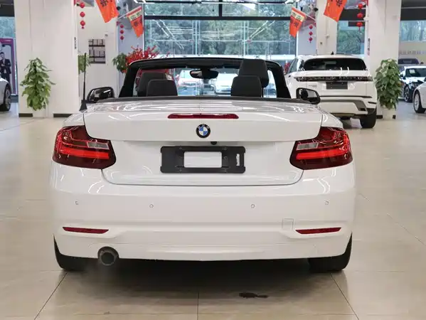 BMW 2 Series 2015