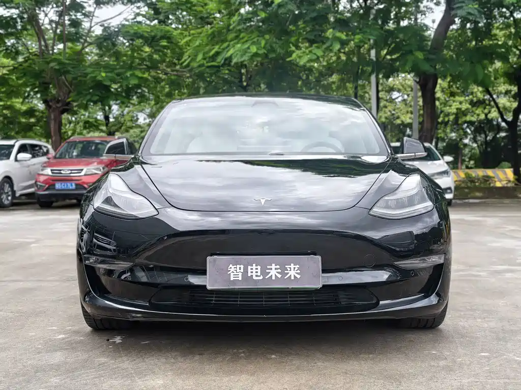 Tesla Model 3 2021 — фото 3