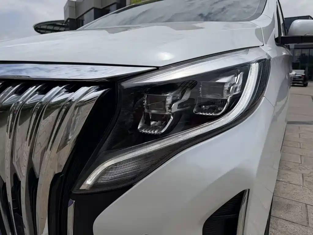 GAC Motor Trumpchi M8 2022 — фото 29