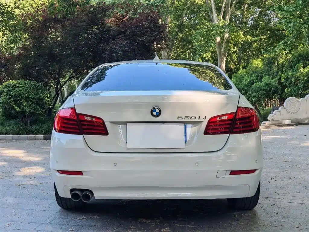 BMW 5 Series 2014