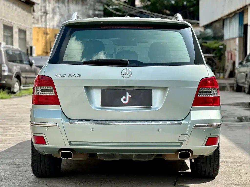 Mercedes-Benz GLK-Class 2010