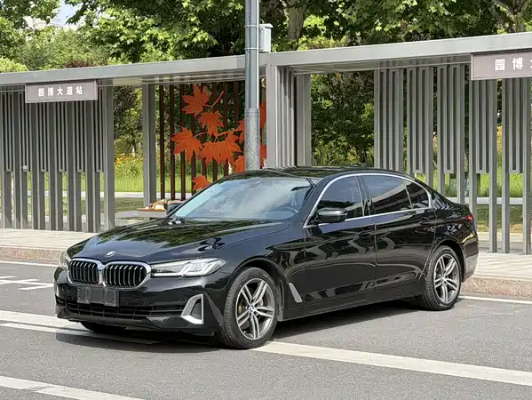 BMW 5 Series 2021