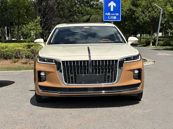 Hongqi H9 2020