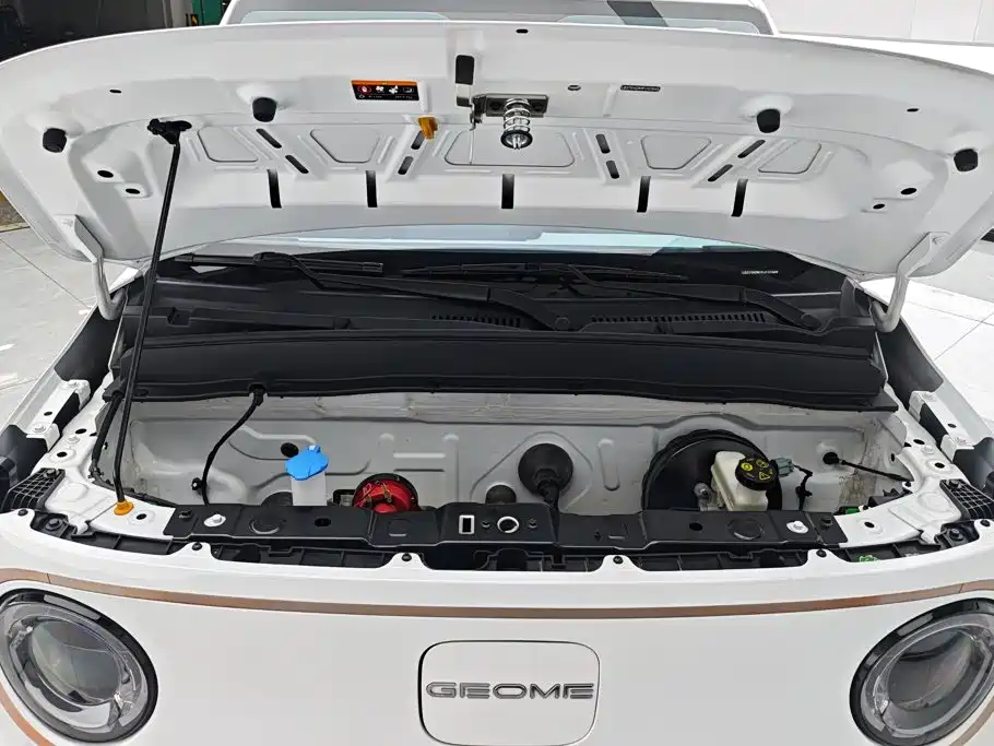 Geely Galaxy Panda 2023 — фото 10