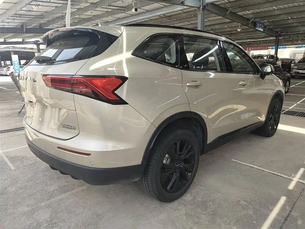 Haval H6 2024 — фото 13