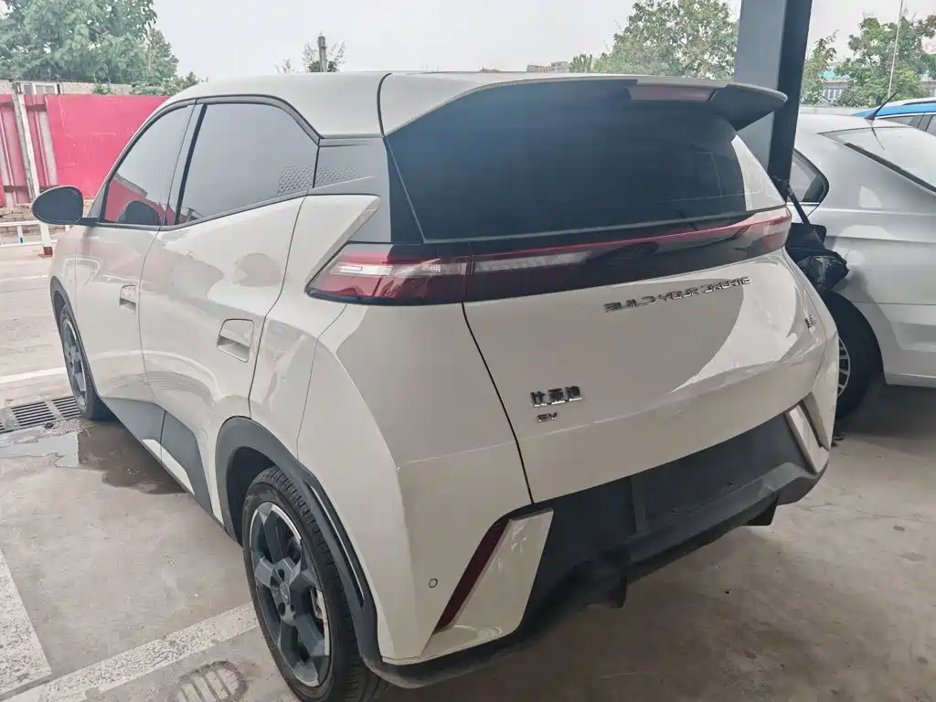 BYD Seagull 2024