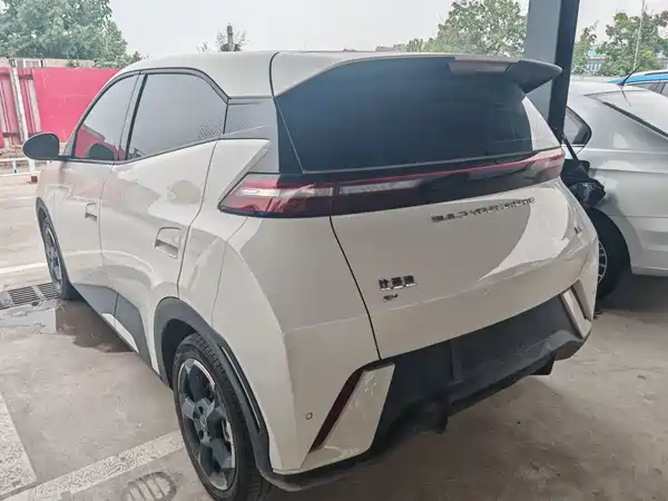 BYD Seagull 2024