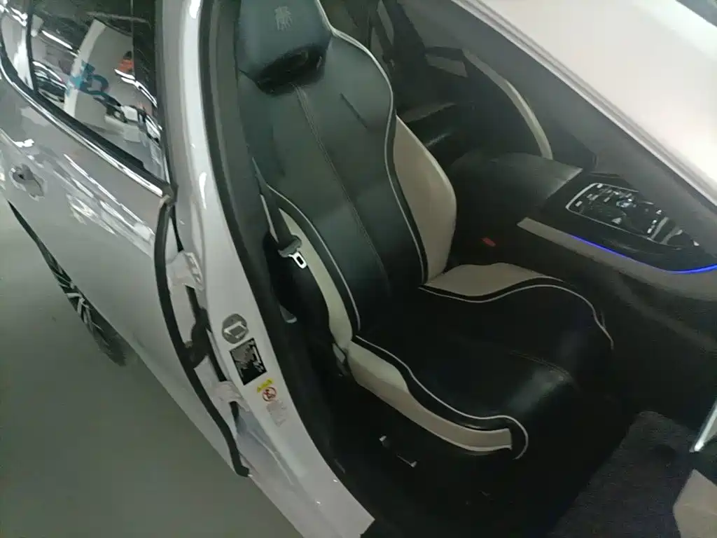 BYD Qin PLUS 2021 — фото 25