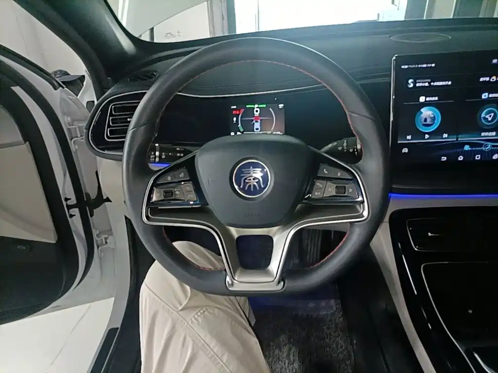 BYD Qin PLUS 2021 — фото 11
