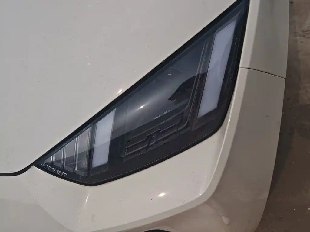 BYD Seagull 2024