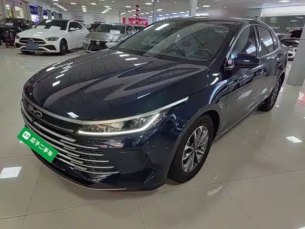 BYD Destroyer 05 2024
