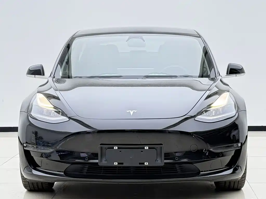 Tesla Model 3 2020 — фото 2