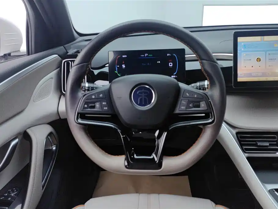 BYD Pro New Energy 2024 — фото 15