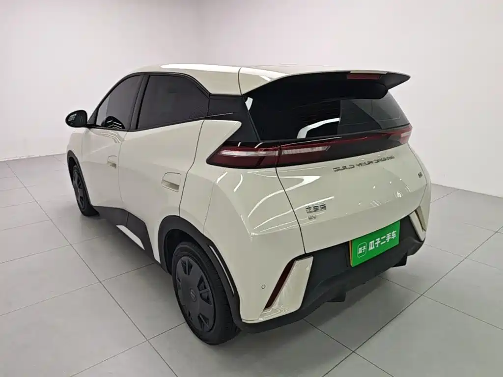BYD Seagull 2024