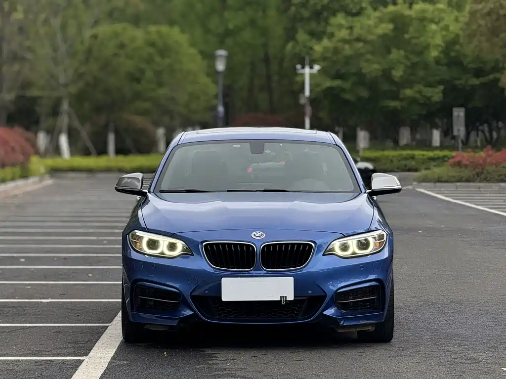 BMW 2 Series 2016 — фото 2