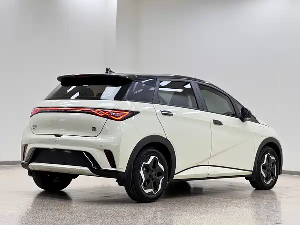 BYD Dolphin 2022