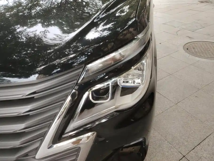 Dongfeng Lingzhi 2023