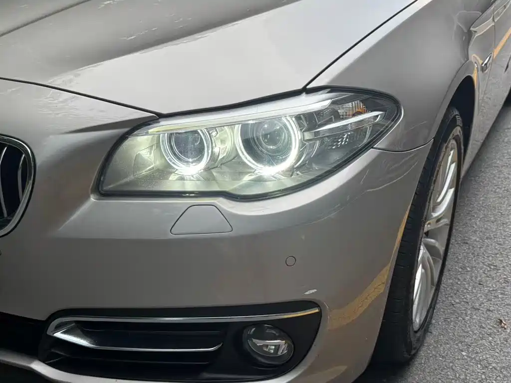 BMW 5 Series 2017 — фото 13