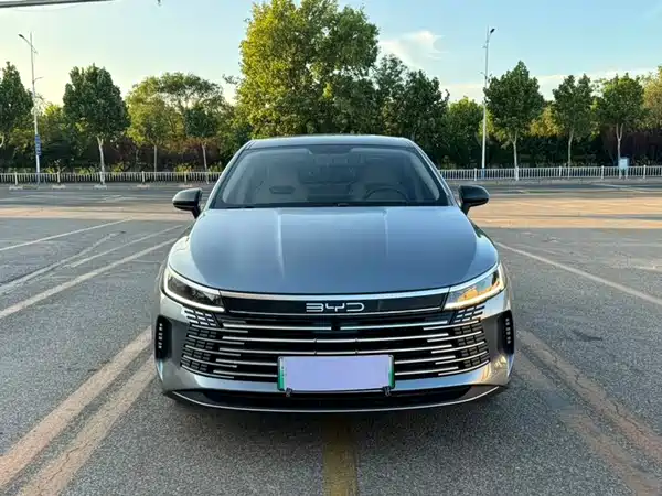 BYD Destroyer 05 2024