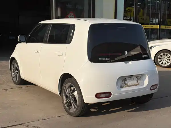 Ora White Cat 2021