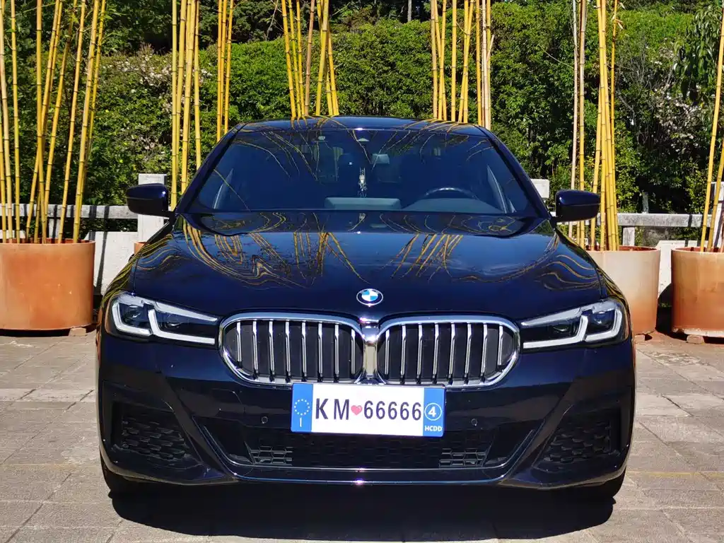 BMW 5 Series 2022