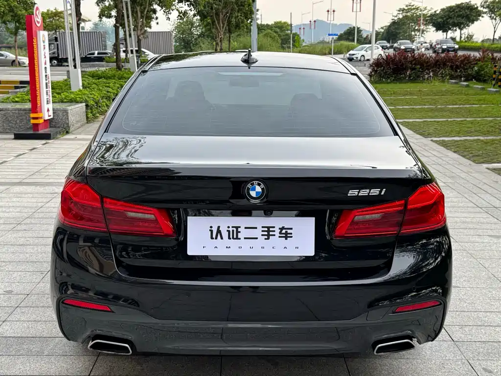 BMW 5 Series 2019 — фото 10