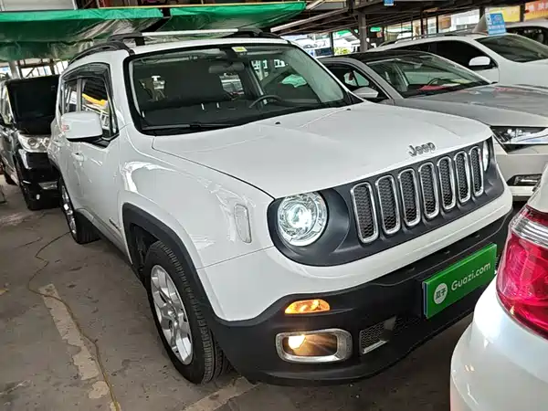 Jeep Freeman 2019