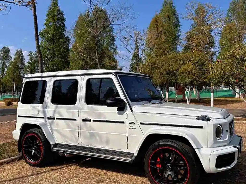 Mercedes-Benz G-Class 2019 — фото 2