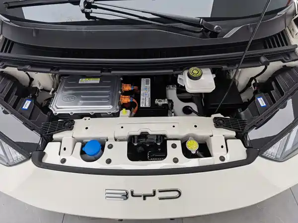 BYD Seagull 2024