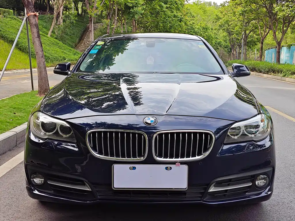 BMW 5 Series 2014 — фото 1