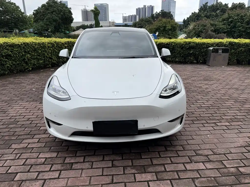 Tesla Model Y 2021 — фото 2
