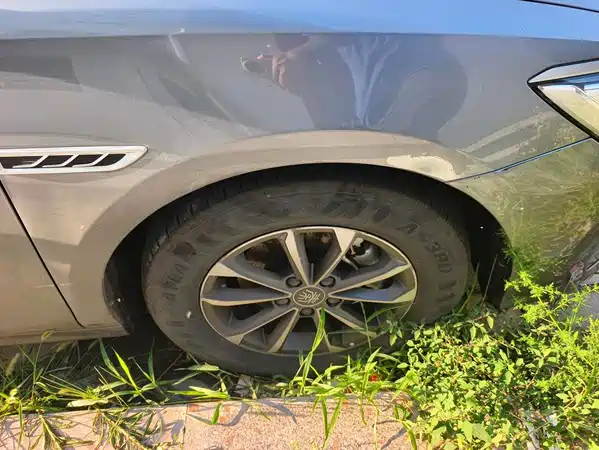 BYD Qin PLUS 2024
