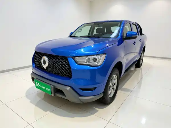 Great Wall Poer 2021
