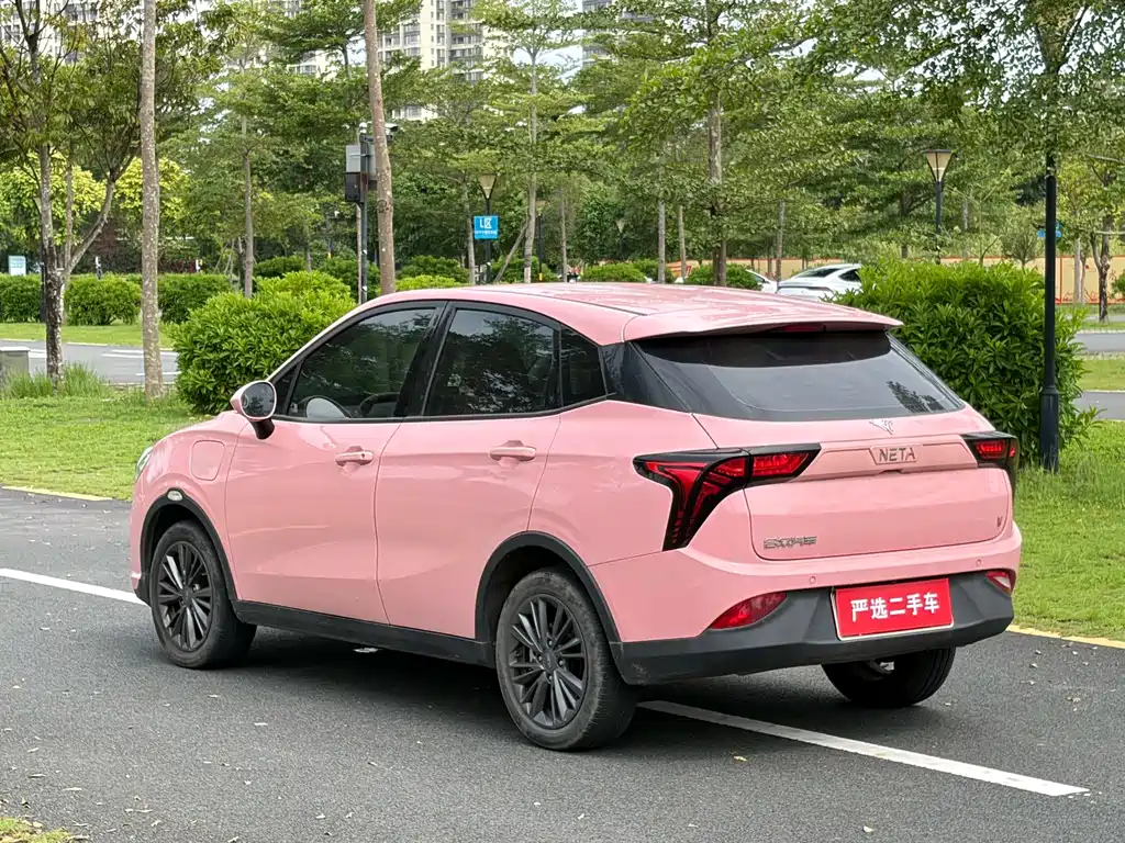 Neta V 2022