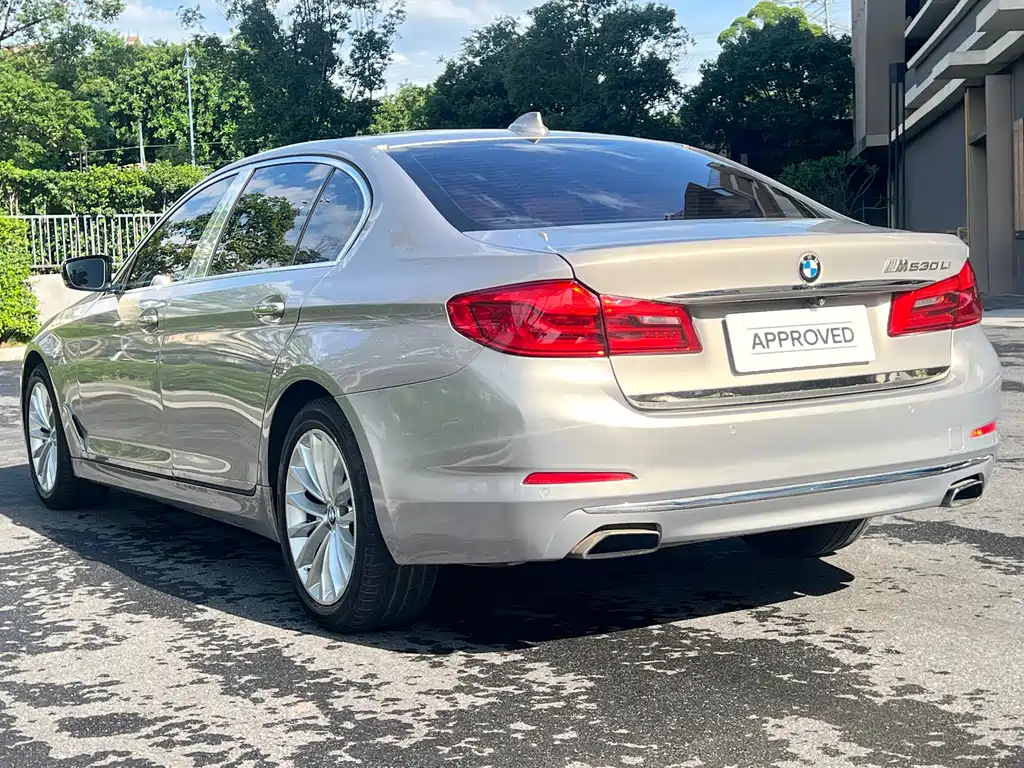 BMW 5 Series 2017 — фото 6