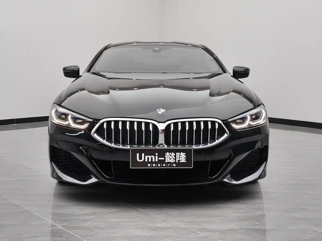 BMW 8 Series 2020 — фото 3