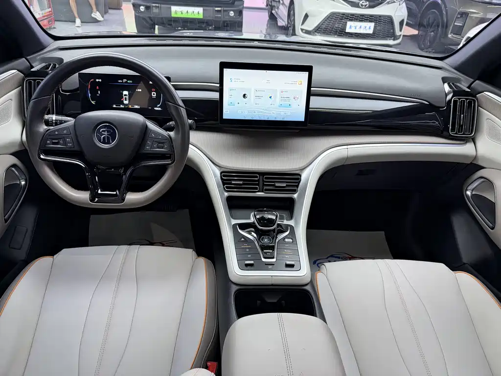 BYD Song Pro New Energy 2024 — фото 5